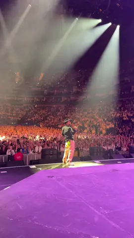 A post by @direalshaggy on TikTok caption: 2 nights at 02 arena in London was on 🔥#pitbullafterdarktour 