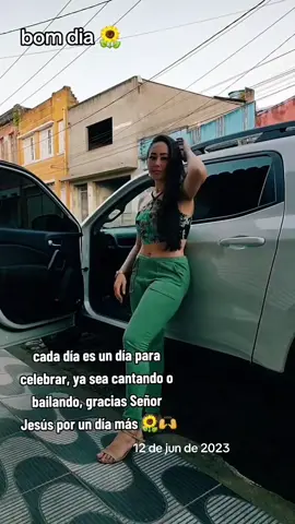 A post by @.flor.dance.oficial on TikTok caption: #anosatrás 