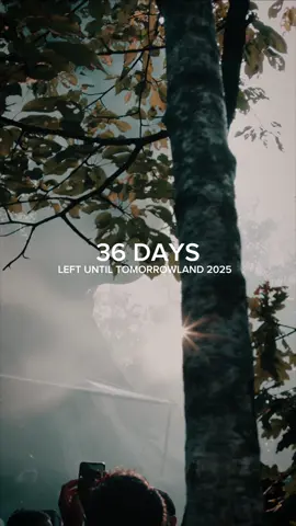 A post by @tomorrowland on TikTok caption: 36 days left until Tomorrowland 2025. #ElectronicMusic #tomorrowland #festival 