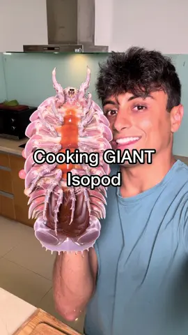 A post by @nick_kratka on TikTok caption: New Favorite Seafood #seafood #seafoodlover 