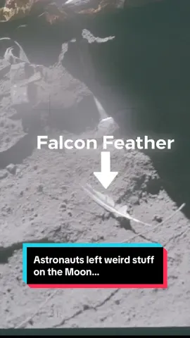 A post by @astrokobi on TikTok caption: Astronauts left weird stuff on the Moon… #space #nasa #moon #apollo #astrokobi
