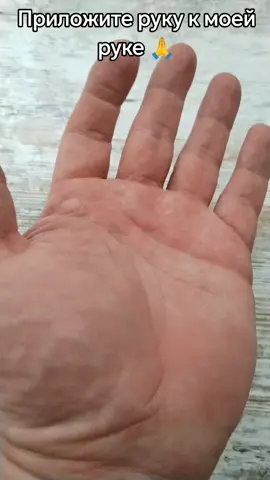 A post by @pomocch on TikTok