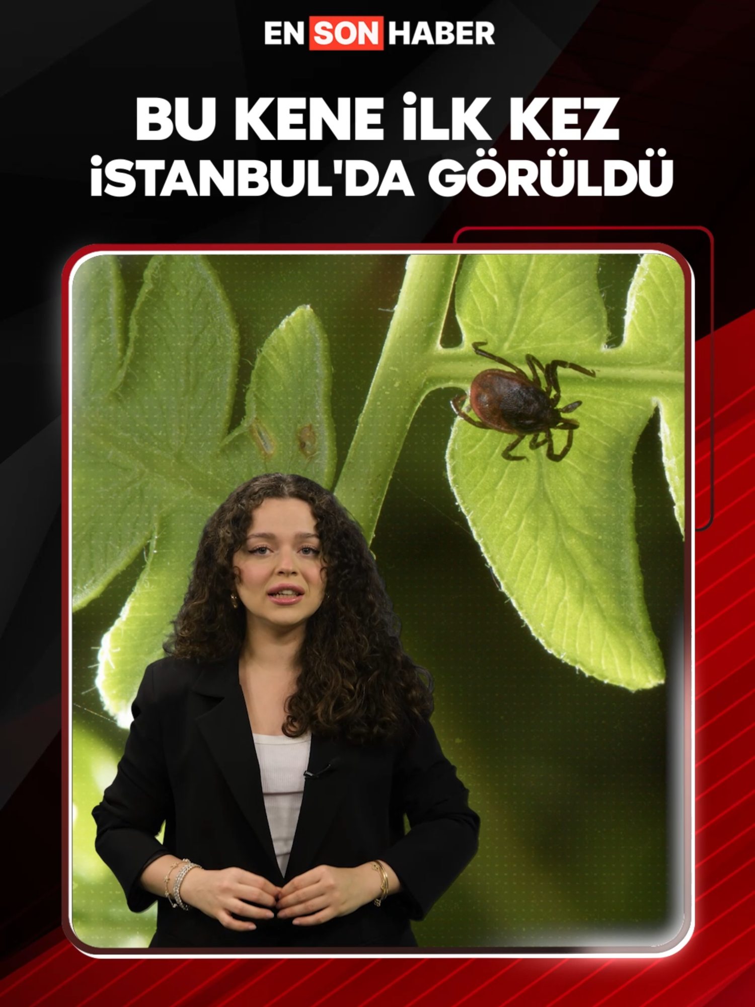 A post by @ensonhaber on TikTok caption: Türkiye'deki 56. tür olarak kayıtlara geçen kenenin 30'dan fazla hastalık taşıdığı ve Uzak Doğu kökenli olduğu belirtildi. #kene #sağlık #hayat #keşif