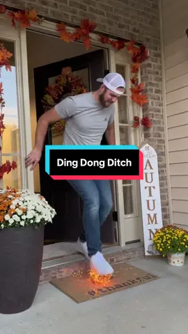A post by @aguyandagolden on TikTok caption: Our number 4 most viral video of all time with 232.5 million views…Ding Dong Ditch! #dog #goldenretriever 