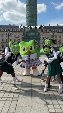 A post by @duolingo on TikTok caption: am i not so kawaii desu #duolingo #du_o 