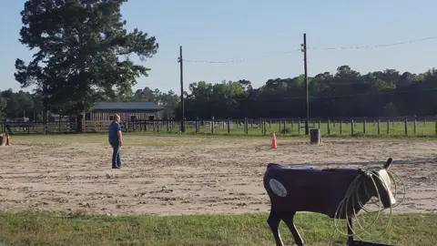 A post by @acraddock22 on TikTok caption: My cowgirl 💕  When she started this, her trainer said it would take about 6 months to outgrow the horse she was on. Fast forward 2.5 months later and @klaireeee has already outgrown him and needs a faster horse. 😍  #proudmama #rodeotime #raisingherright #mycowgirl #theregoesallmymoney 