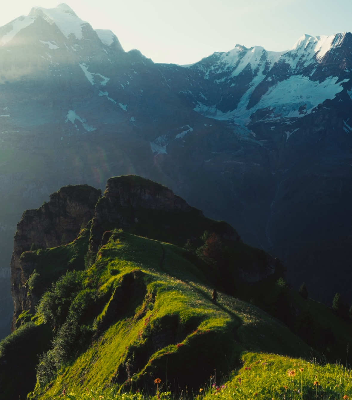 A post by @jonpurcell on TikTok caption: there is never enough time