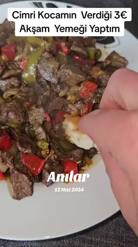 A post by @havine84 on TikTok caption: #anılar