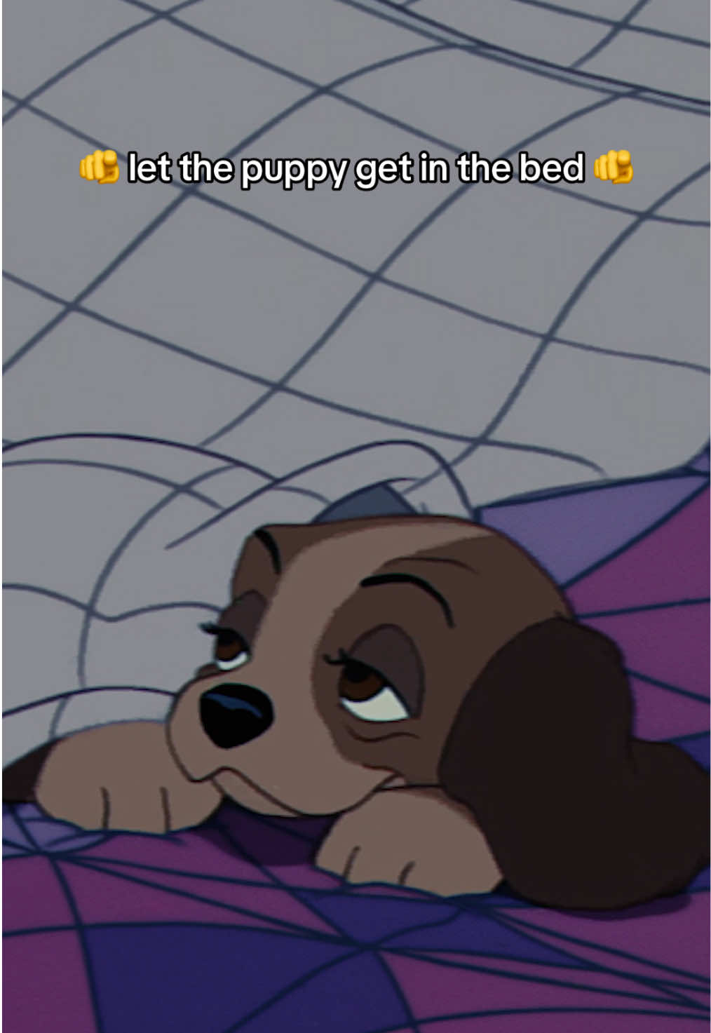 A post by @disneyanimation on TikTok caption: The puppy guilt trip: 100% accuracy 🎥: Lady and the Tramp, streaming on #DisneyPlus 