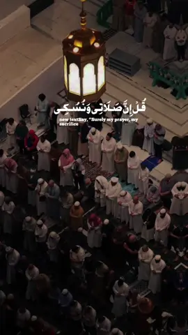 A post by @quranrecitation1144 on TikTok caption: #islam #quran #quranrecitation #foryoupage #fybシ #fyp 
