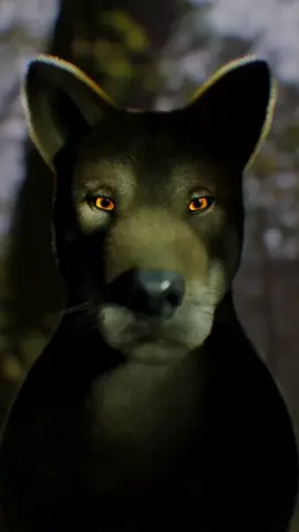 A post by @krazymations on TikTok caption: Wild #wolf #emotion #3danimation #krazymations 