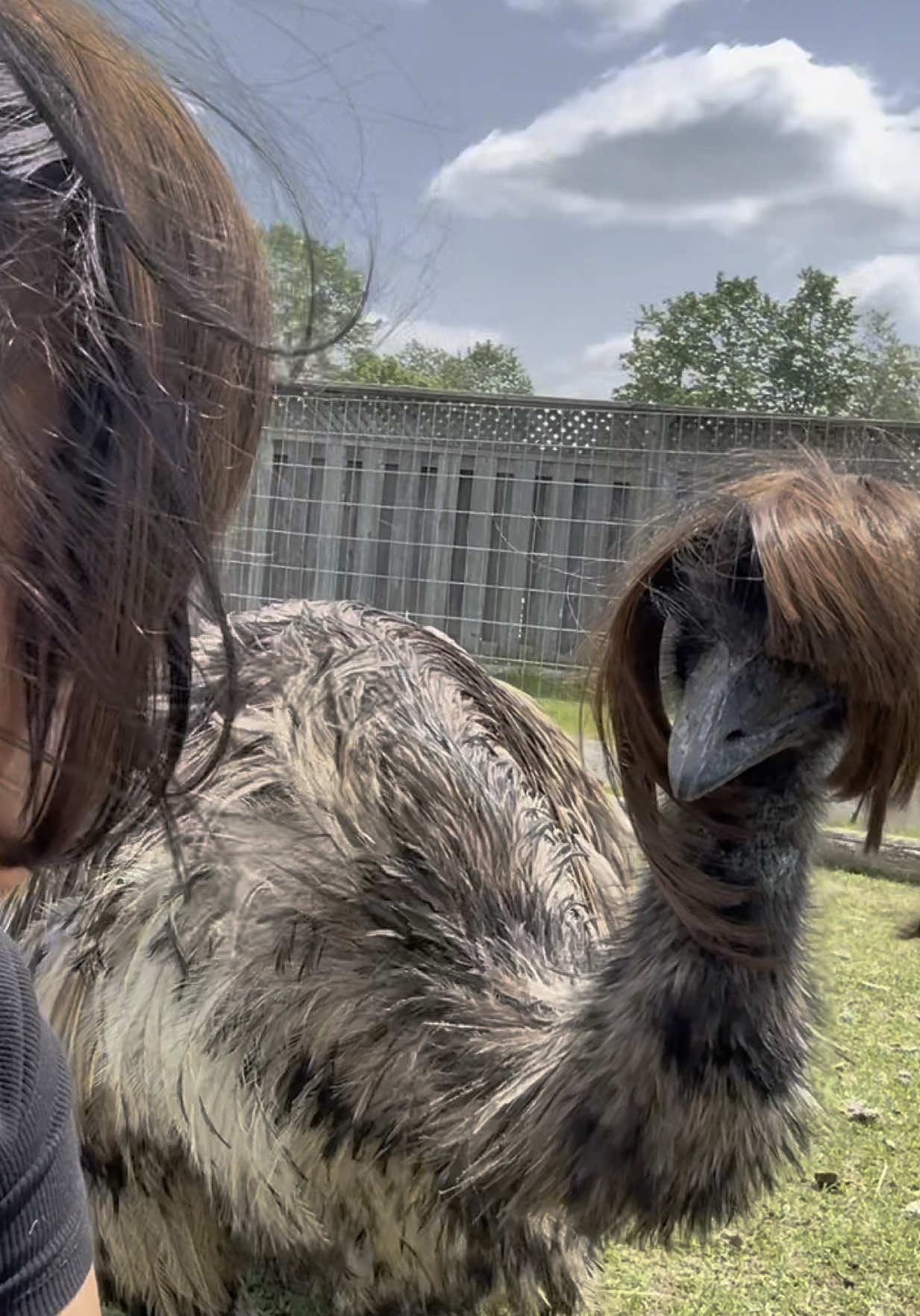 A post by @useless_farm on TikTok caption: Mistakes were made 