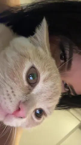 A post by @s1labyrak on TikTok