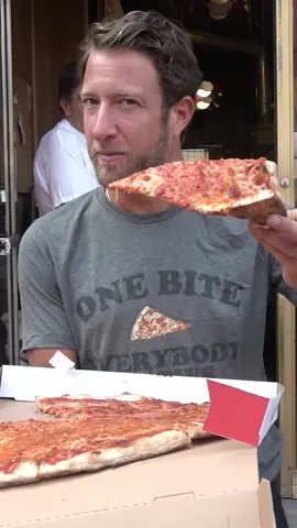 A post by @stoolpresidente on TikTok caption: Luigi’s in Park Slope is home to one of the best pizzas in the world 