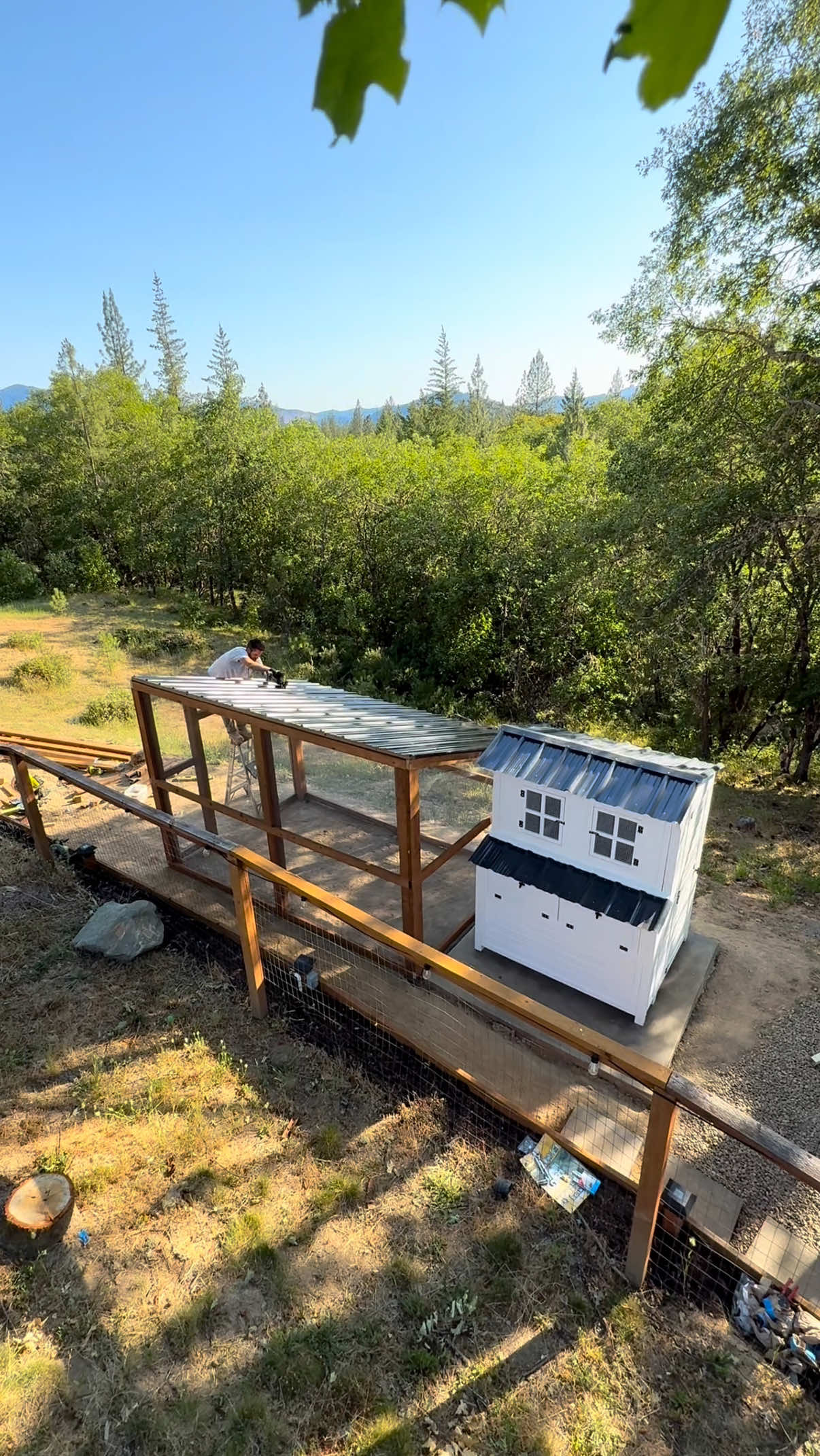 A post by @dadsocial on TikTok caption: I’d like to formally apologize for all the dad jokes… they are getting out of hand and need to stop. 🤦🏻‍♂️ Next… if you have chickens, how’s this looking? Should I tear it all down and start over? And what kind of chickens should I get? #diy #chickencoop #diyfarming 