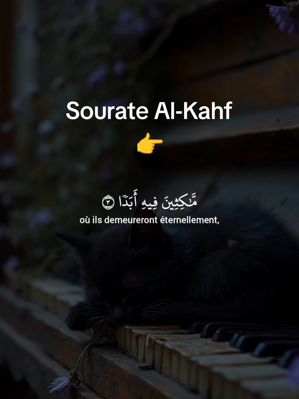 A post by @mohammedsanno on TikTok caption: Sourate Al-Kahf # #sourate #verset #mâchaallah #recitation 
