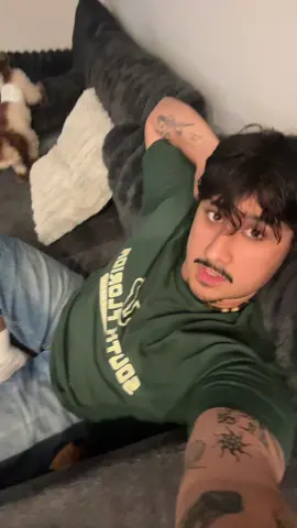 A post by @koda_steven on TikTok caption: He wanted to play