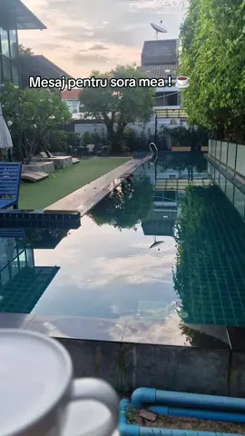 A post by @lenghenandreea on TikTok caption: Ai baut cafeaua zambetu' meu @MaDa97  ? ☕️♥️ #😂😂😂 #☕️ #fyp #parati #pentrutine #goodmorning #fyyyyyyyyyyyyyyyy #thailand🇹🇭 