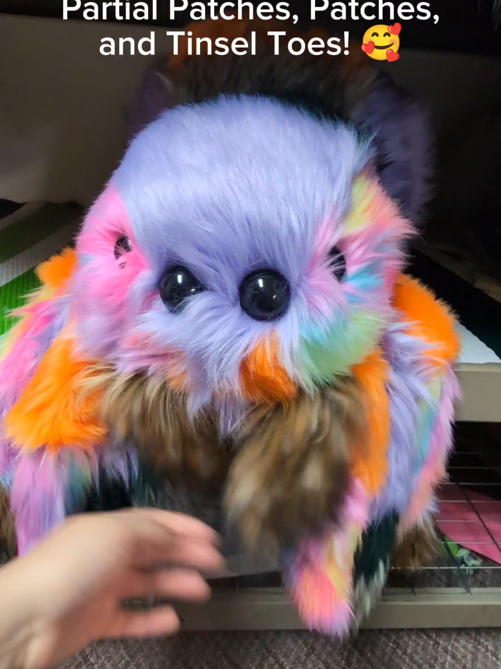 A post by @plushymonsters on TikTok caption: Prices are in the video! Hurrah! 😁 All of these precious babies will be available this Hatching Day, Saturday June 14th, 2025, 11:00 a.m. MDT at plushymonsters.com! 😁 #plushymonsters #hatchingday #spiderpile 