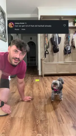 A post by @lilmfcurb on TikTok caption: Part 1 of responding to hate comments😄