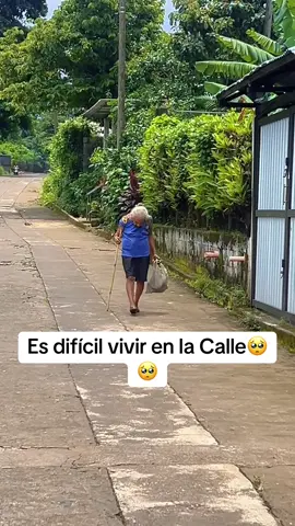 A post by @dalechapi on TikTok caption: Es difícil vivir en la calle #abuelosabandonados #tristeza #ayudasocial 