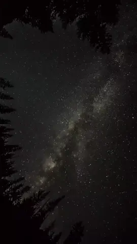 A post by @homeof_gospel on TikTok caption: #prayer 