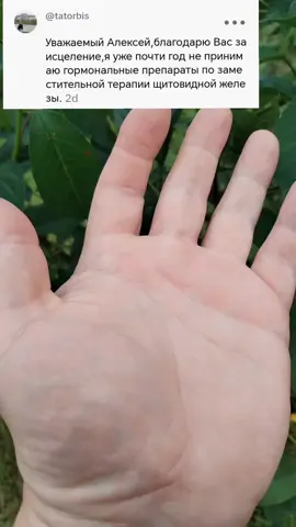 A post by @pomocch on TikTok