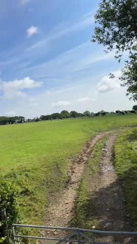 A post by @thequeenbtrucker on TikTok caption: Today you’ll find me on the blackdown hills. The sun is shining & I’m away from everyone 😂🙌 winner winner!!