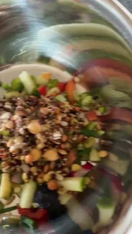 A post by @shelbythemacaw on TikTok caption: I feed my parrots a mix of lots of vegetables, some fruit (a blueberry and maybe a tiny bit of apple, but not every day), some soaked / sprouted seed mix and sprinkle on some pre and pro biotics once a week. Thus is their breakfast every day and they devour it! #freeflying #petparrot #shelbythemacaw #freeflight #exoticpets #africangrey #macaws 