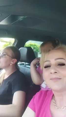 A post by @verginica1976 on TikTok
