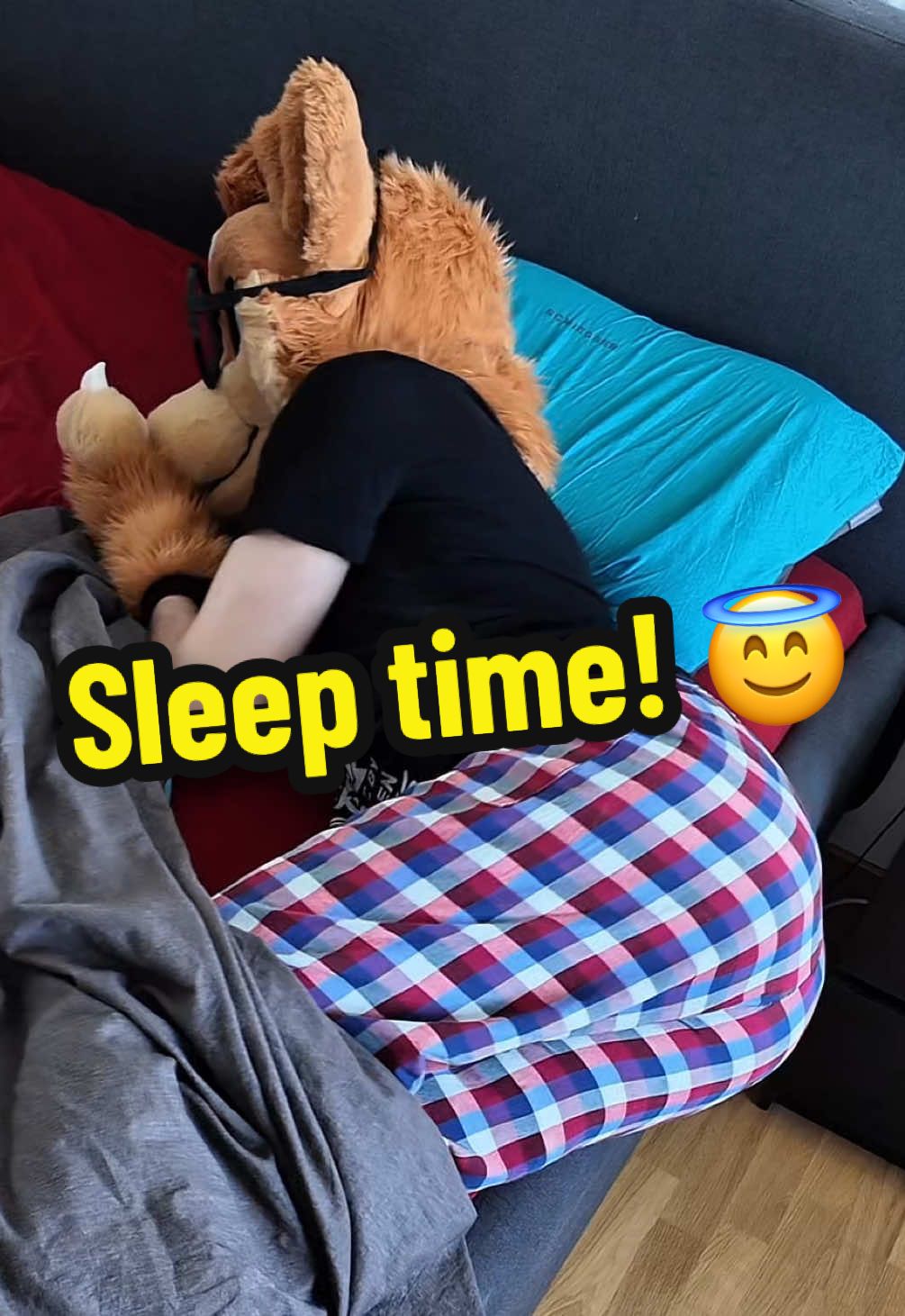 A post by @justafluffymax on TikTok caption: Eepy time! 😇 #furry #cute #goodboy 