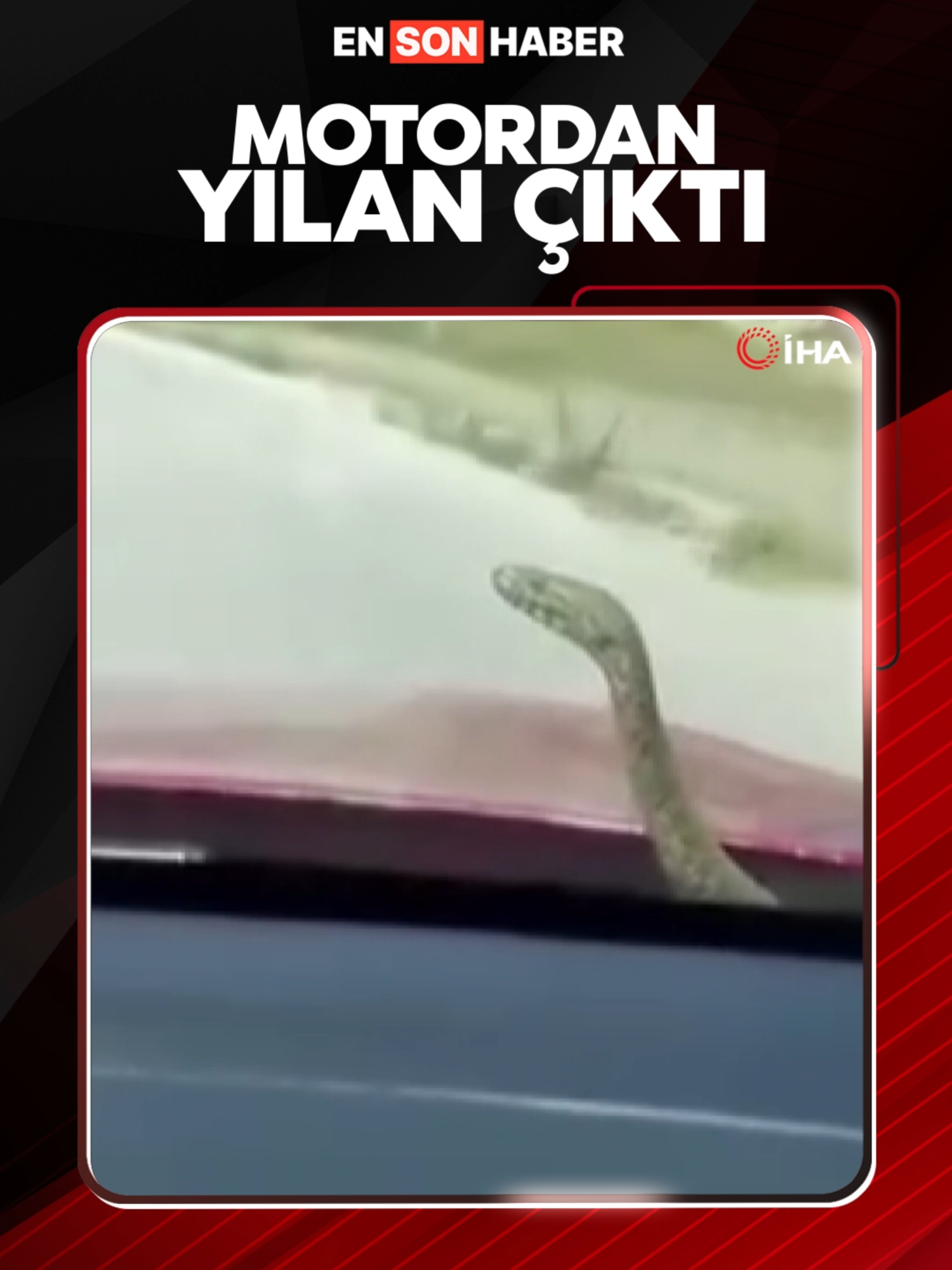 A post by @ensonhaber on TikTok caption: Kütahya'da bir vatandaşın, seyir halindeki aracının kaputundan çıkan yılanla yaptığı yolculuk sosyal medyada gündem oldu. #yılan #araba #seyahat #viralvideo