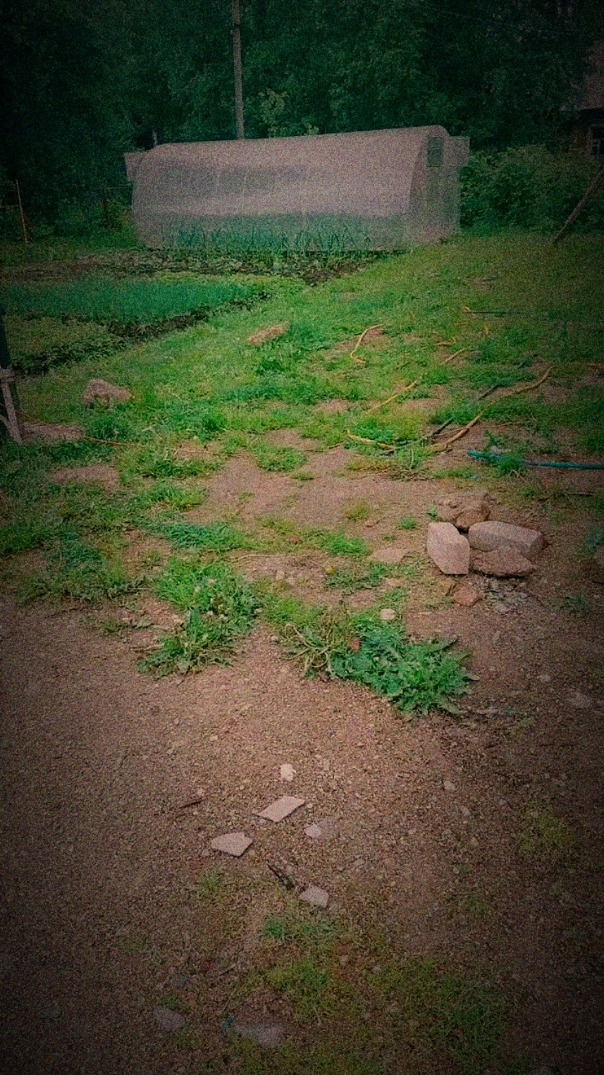 A post by @__ksyushenka__ on TikTok