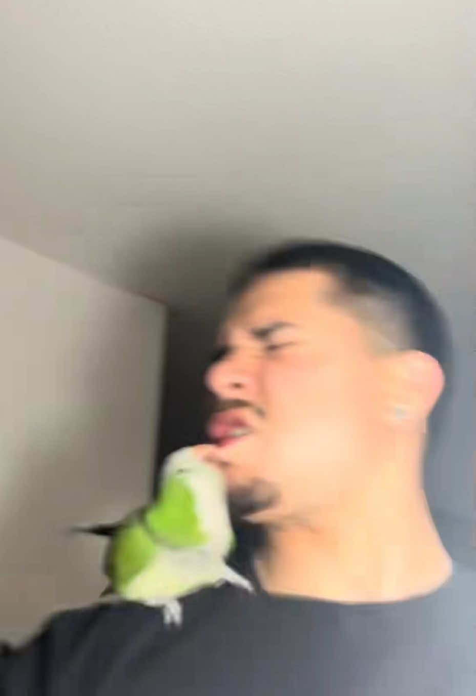 A post by @temptaetiontv on TikTok caption: #Stitch with @Chuy 