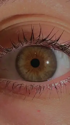 A post by @dashachepizhko on TikTok caption: What color are your eyes? 👀