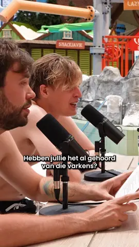 A post by @bankzitters on TikTok caption: Beetje respect voor de 🐷 #bankzitters 