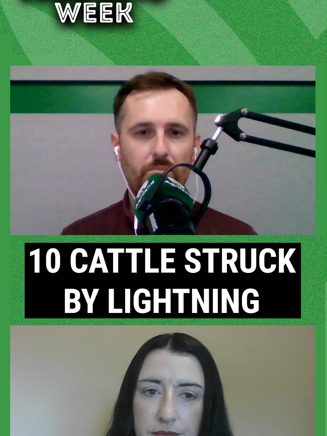 A post by @agriland.ie on TikTok caption: 10 cattle struck by lightning in Cavan.  Catch up on the latest in Irish agriculture with The Farming Week podcast, brought to you by AXA Ireland Listen & Follow wherever you get your podcasts.
