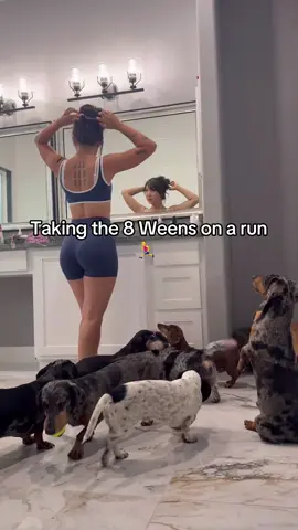 A post by @yunabugs on TikTok caption: Launched our new harnesses the only way we know how... at full ween speed. 🐶🔥 LINK IN BIO ♥️