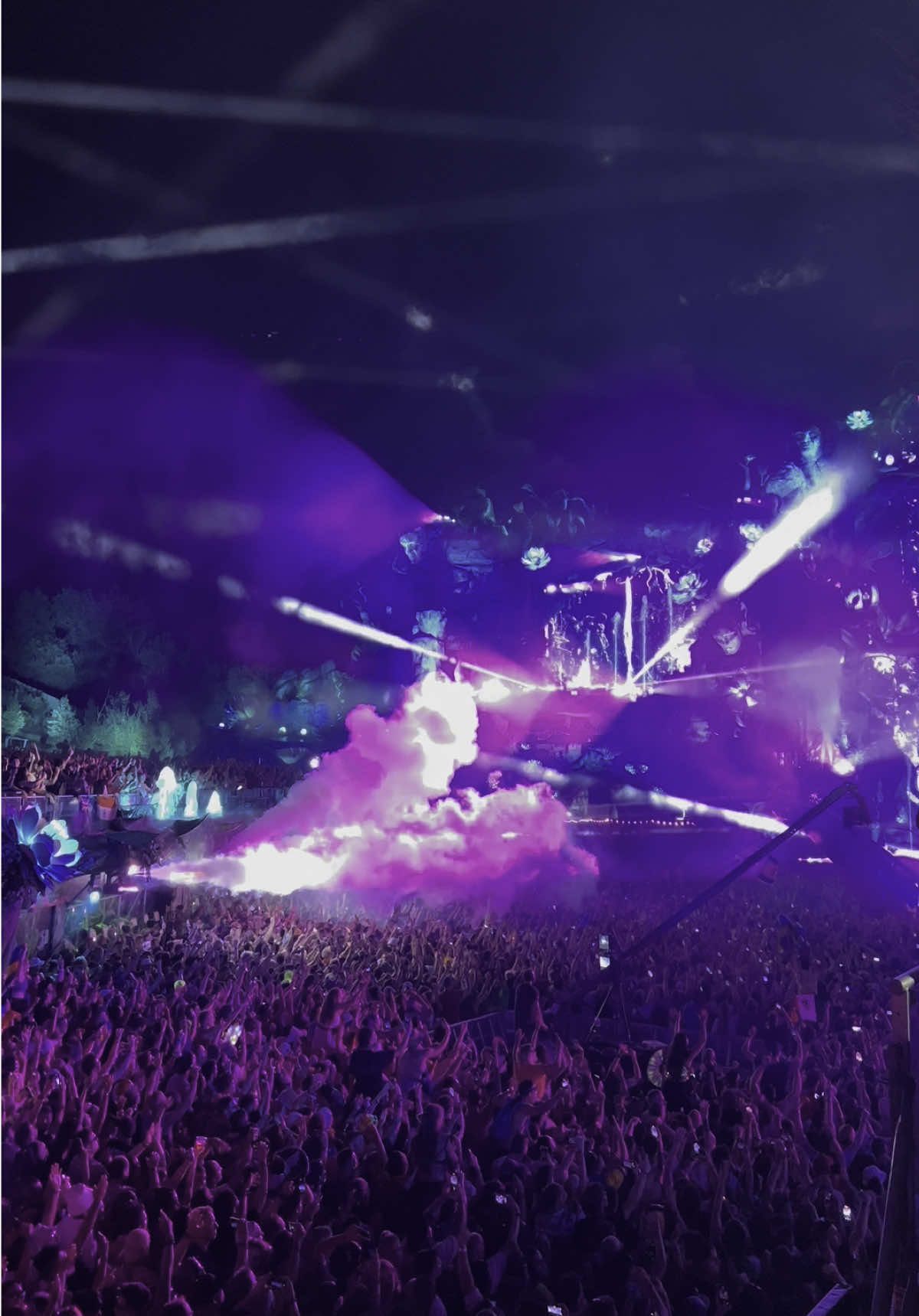 A post by @tomorrowland on TikTok caption: Amazing crowd at @Swedish House Mafia’s set #electronicmusic #tomorrowland #festival 