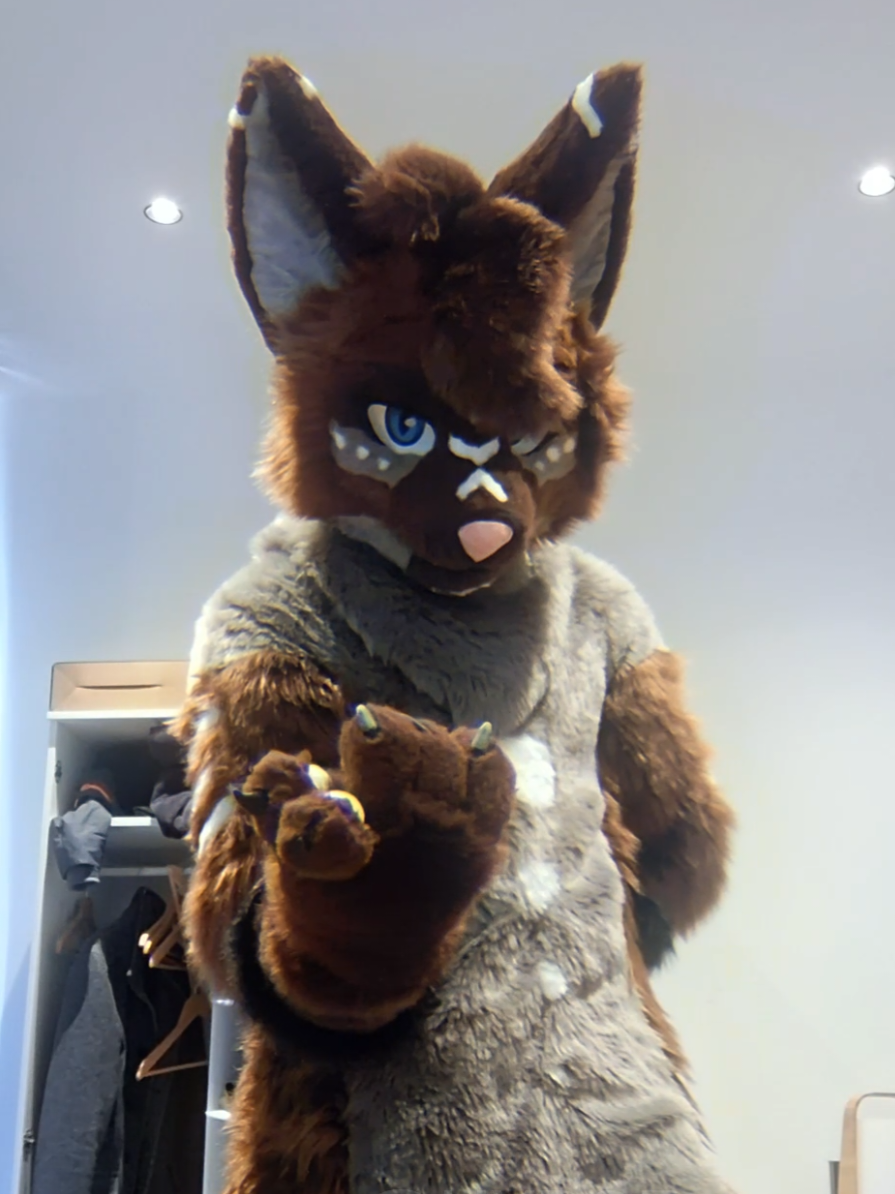 A post by @hyroe on TikTok caption: FURSUIT REVEAL ✨️ Made by Hyera #fursuit #fursuiter 