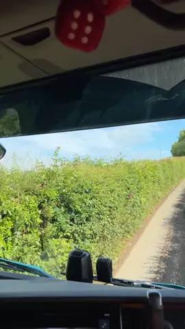 A post by @thequeenbtrucker on TikTok caption: It would have been lovely if they cut the hedges back before we went down there. Glad I wasn’t the first one! 
