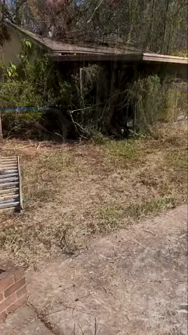 A post by @lawncarejuggernaut on TikTok caption: OUR FAMILY VLOG CHANNEL - https://youtu.be/qn1v3cylyyo?si=PY5MtLP-Hb149vrm DON'T MISS OUT ON A CHANCE TO WIN A FREE 65 INCH 4K T.V. All you have to do is sign up for the free newsletter or become a channel member * NEWSLETTER SIGN UP -- https://lawncarejuggernaut.com/newsletter/ * Channel Member - https://www.youtube.com/channel/UCISMdsCs7nzk3spMuh7GFDA/join We are doing a giveaway every month in both of these locations SO DON'T MISS OUT!! TORO MOWERS - https://bit.ly/THIS_IS_THE_TORO_MOWER_THAT_I_USE EAST TEXAS TRAILERS - https://bit.ly/easttexastrailersboring want a sneak peek at new videos coming up. Check out our Instagram page. Juggernaut Instagram - https://www.instagram.com/lawn_care_juggernaut - If you are a company looking to feature your product in our videos you can speak with our Brand Manager at - Sponsorships.boringchannel@gmail
