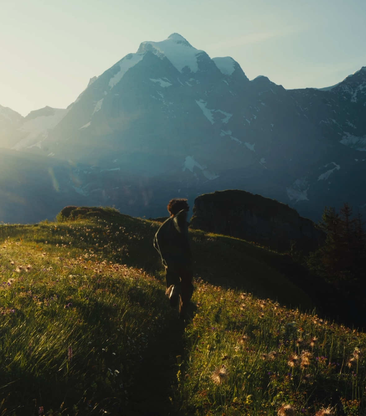 A post by @jonpurcell on TikTok caption: the unmistakable truth that i exist right here, right now