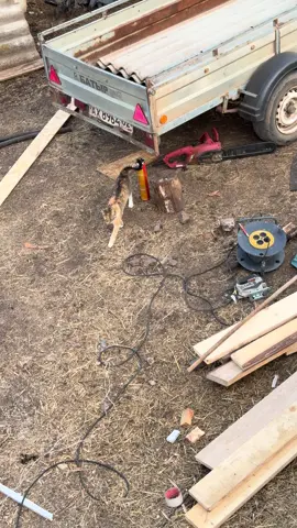 A post by @aidarkin on TikTok caption: Ее любопытству нет предела 