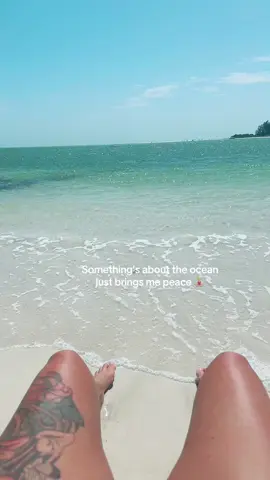A post by @jamieriddle on TikTok caption: Can’t help but want to stay forever #florida #siestakey #fy #healingjourney 