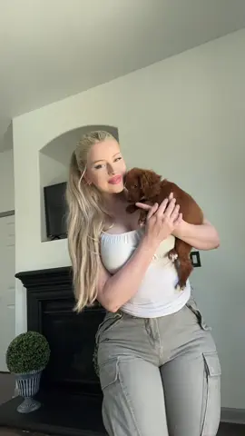A post by @lillybloomes2 on TikTok caption: #puppy 🐶 his name is stone 🙂‍↔️