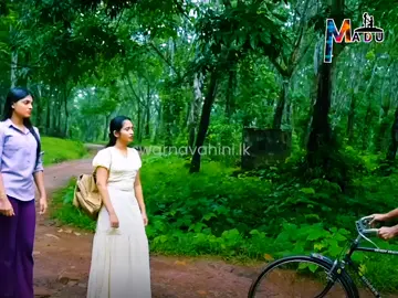A post by @madu__shan_ on TikTok caption: ගෑනු නිසාමෙ මේ හැමඑයක්ම 😂😂😂 #madu_shan  #sl_ape_tharu🇱🇰