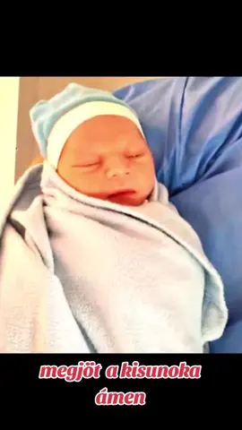 A post by @sandorfarkas535 on TikTok