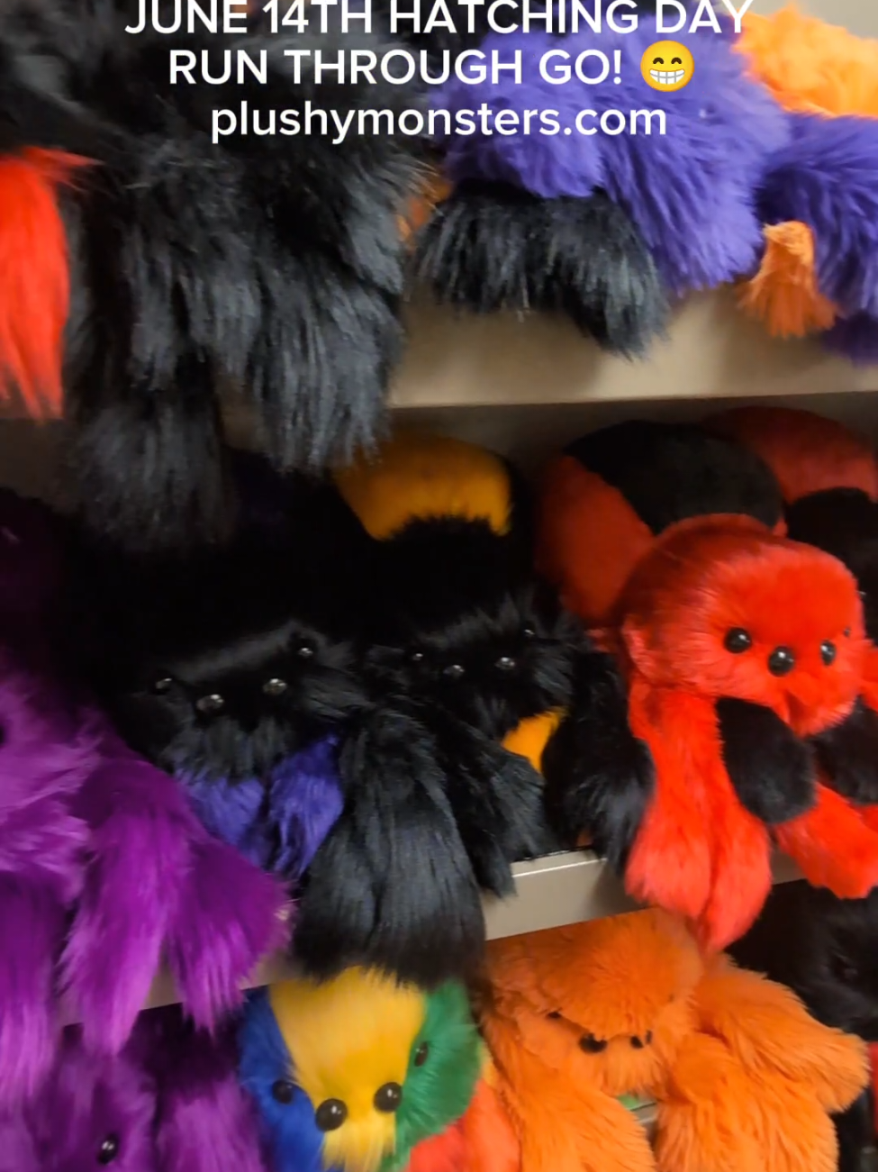 A post by @plushymonsters on TikTok caption: 8:42 total...😬 I am so sorry for all of the pauses and forgotten names! 😬🤦 I am so, so tired...All of these dudes will be available tomorrow morning, Saturday June 14th, 2025, 11:00 a.m. MDT at plushymonsters.com! Woot! 😬 I think I got all of the prices in the video, maybe? Hard to say. I'ma go home and sleep! Hurrah! 😬😴 #plushymonsters #hatchingday #spiderpile #katesweirdies 