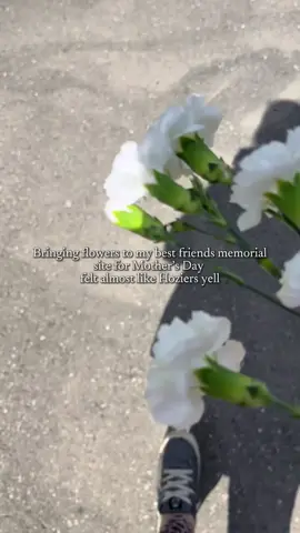 A post by @damned_but_beautiful on TikTok caption: In a sad, grieving sort of way. I’ll never not celebrate you my girl. I miss you forever and love you eternally 🩷🕊️ #CapCut #fyp #amandablack #domesticviolenceawareness #dva #truecrime #murder #death #mothersday 